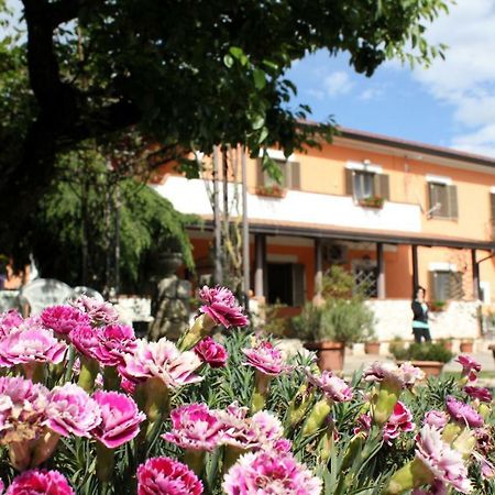 B&B Casale Shanti Piedimonte San Germano Екстериор снимка